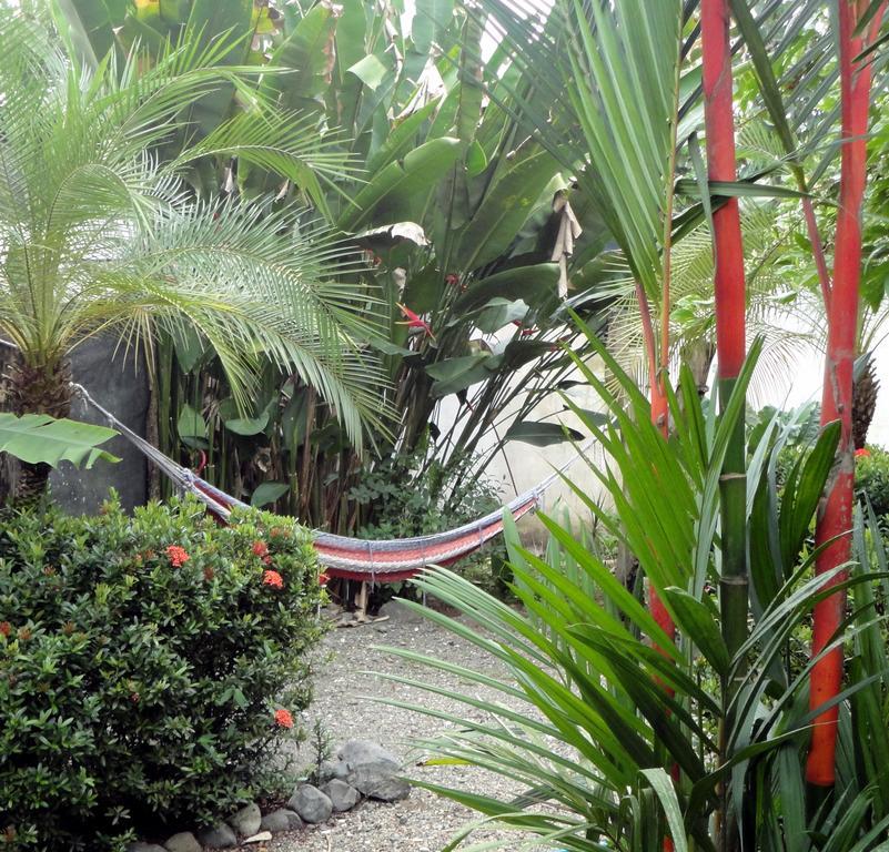 Cabinas Tropicales ปัวร์โตคิมาเนซ ภายนอก รูปภาพ