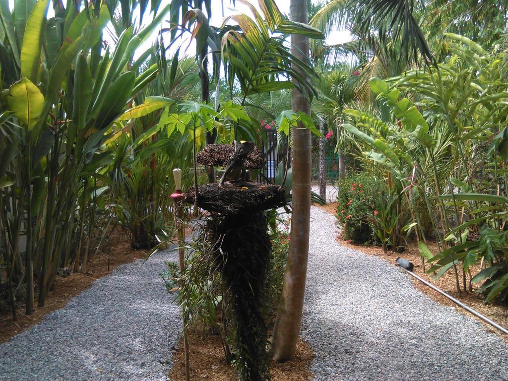 Cabinas Tropicales ปัวร์โตคิมาเนซ ห้อง รูปภาพ