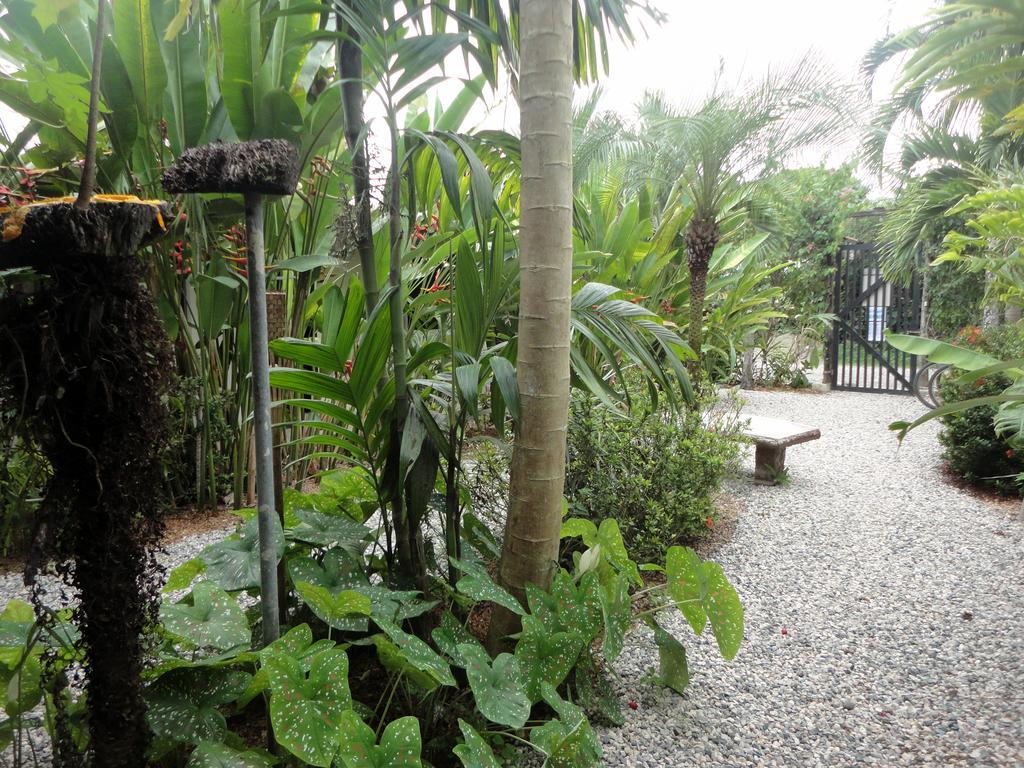 Cabinas Tropicales ปัวร์โตคิมาเนซ ภายนอก รูปภาพ