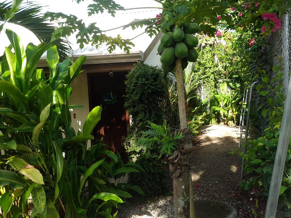 Cabinas Tropicales ปัวร์โตคิมาเนซ ภายนอก รูปภาพ